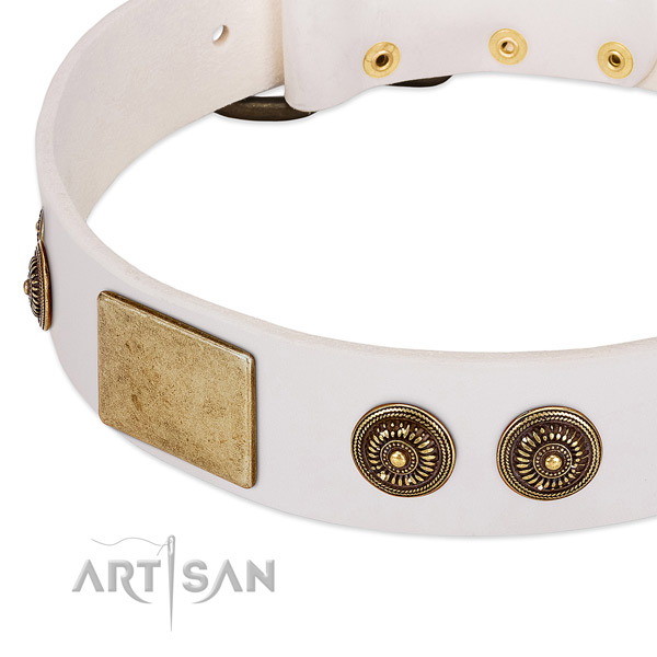 Handmade dog collar created for your attractive four-legged friend