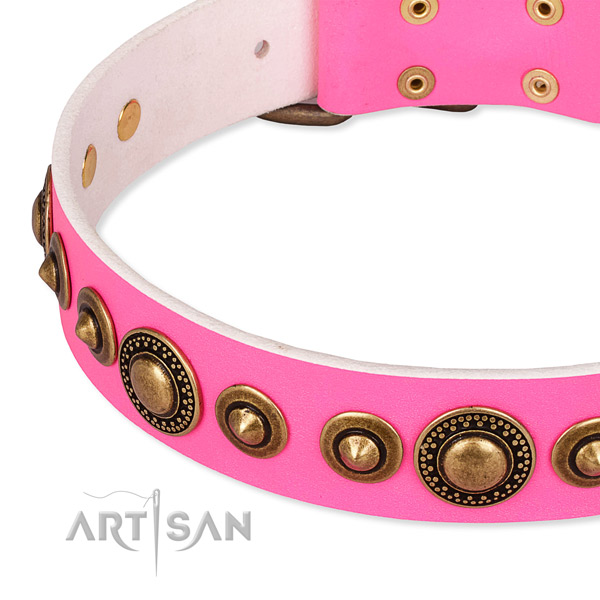 High quality full grain leather dog collar handcrafted for your beautiful canine