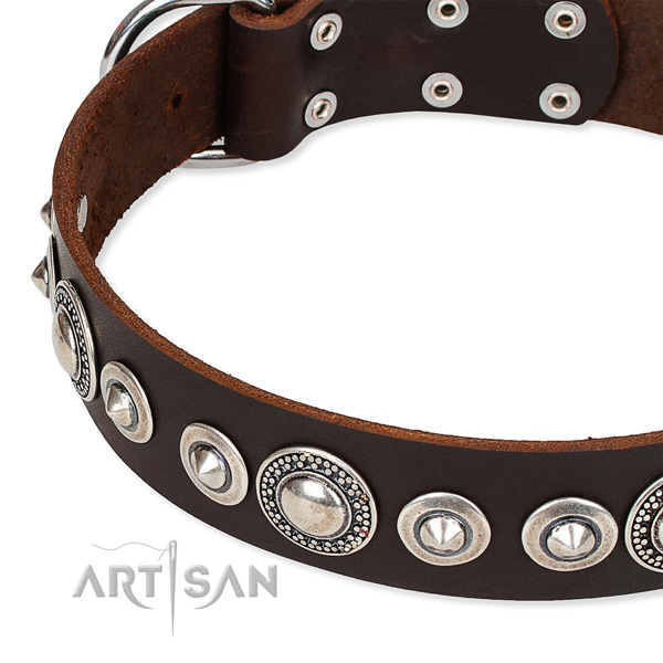 Stylish walking embellished dog collar of fine quality full grain natural leather