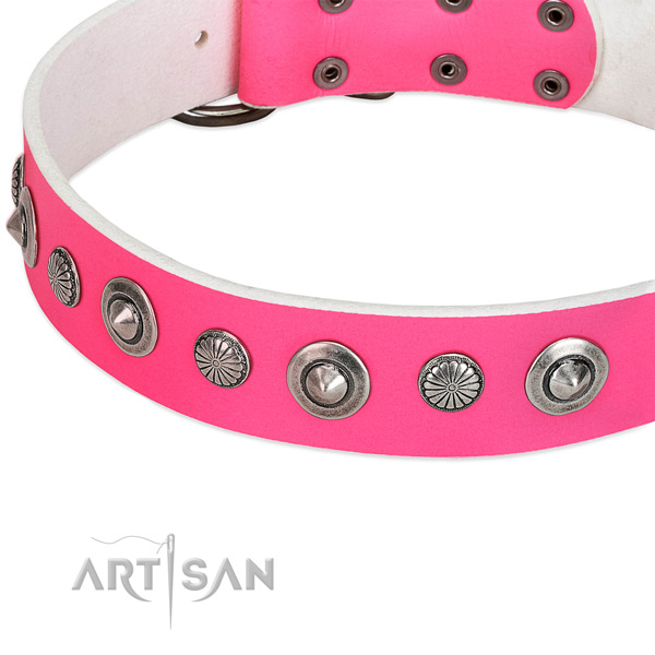 Full grain leather collar with durable D-ring for your attractive four-legged friend