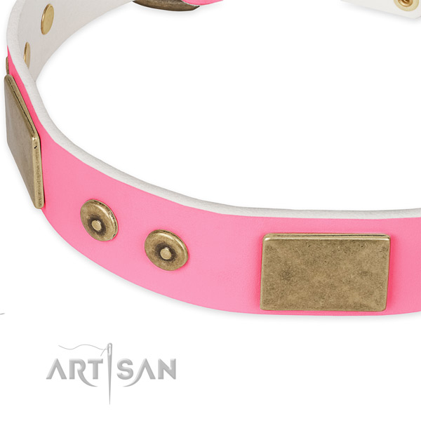Full grain natural leather dog collar with studs for everyday walking