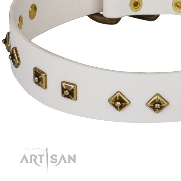 Awesome leather collar for your lovely canine
