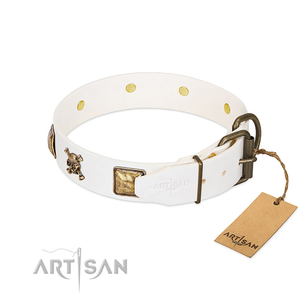 Top notch leather dog collar with reliable decorations