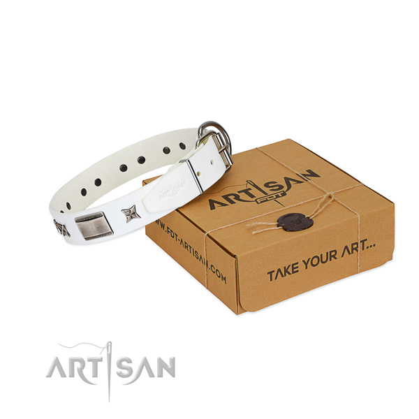 Studded collar of leather for your stylish dog