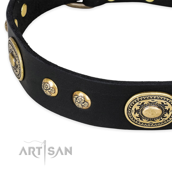 Comfortable genuine leather collar for your impressive doggie
