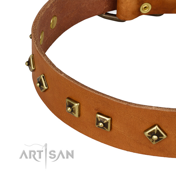 Best quality leather collar for your impressive four-legged friend
