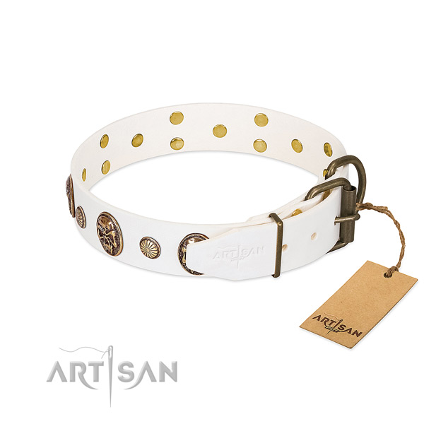 Corrosion resistant fittings on full grain genuine leather collar for stylish walking your dog