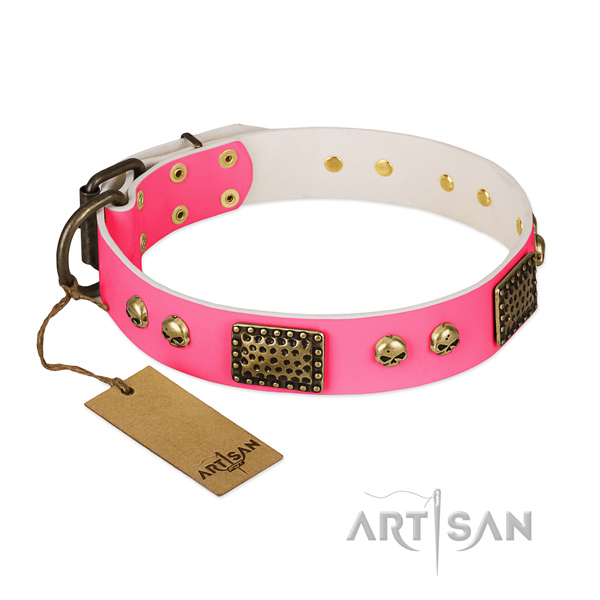 Easy to adjust genuine leather dog collar for basic training your four-legged friend