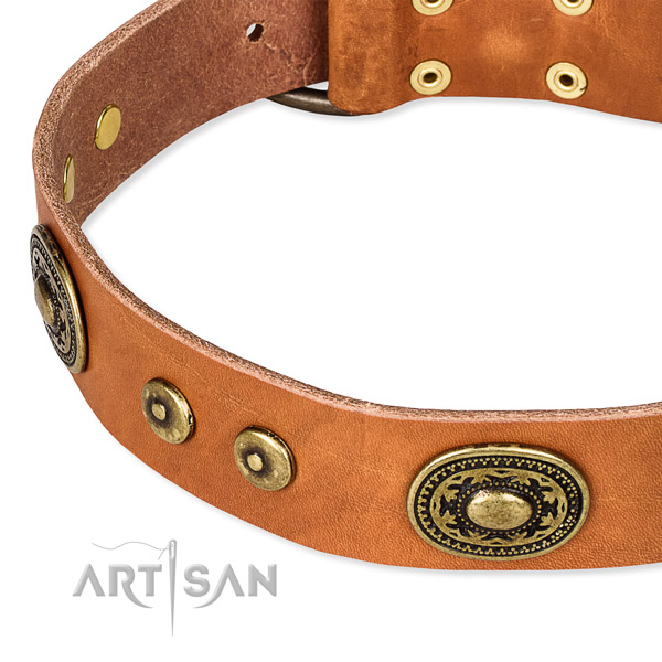 Leather dog collar made of high quality material with adornments