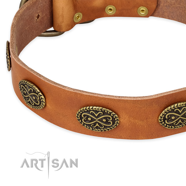 Stylish leather collar for your handsome pet
