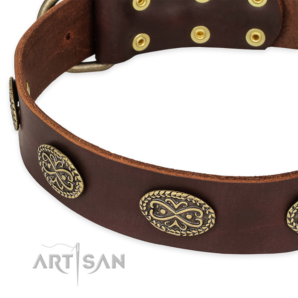 Exquisite full grain leather collar for your handsome doggie