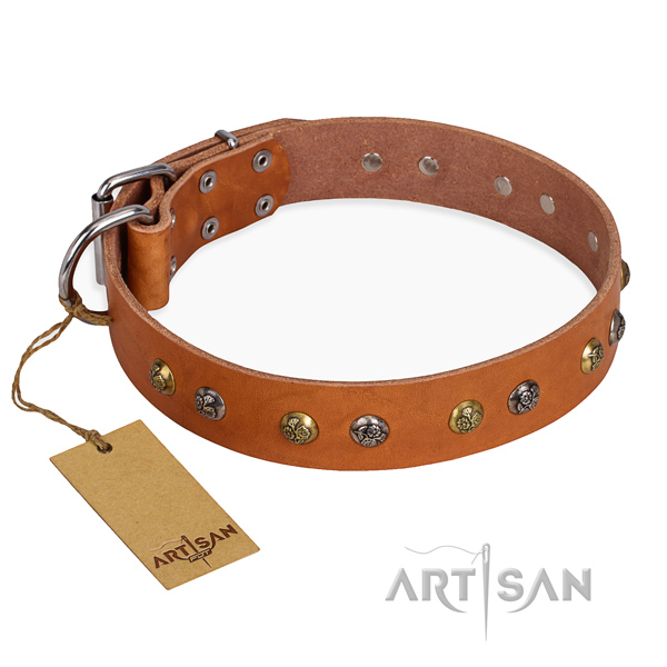 Comfy wearing adorned dog collar with rust-proof buckle