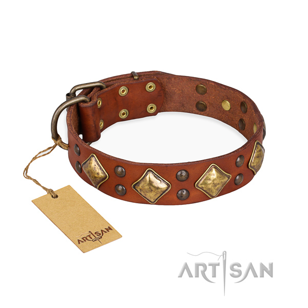 Handy use trendy dog collar with rust-proof buckle