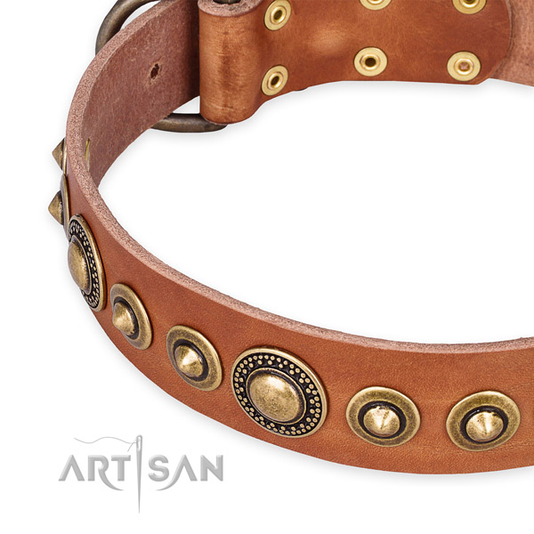 Best quality full grain leather dog collar created for your impressive four-legged friend