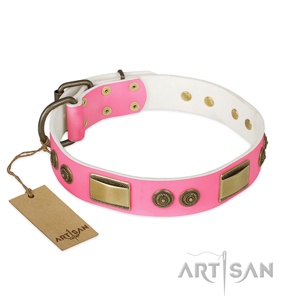 Exceptional full grain natural leather dog collar for walking