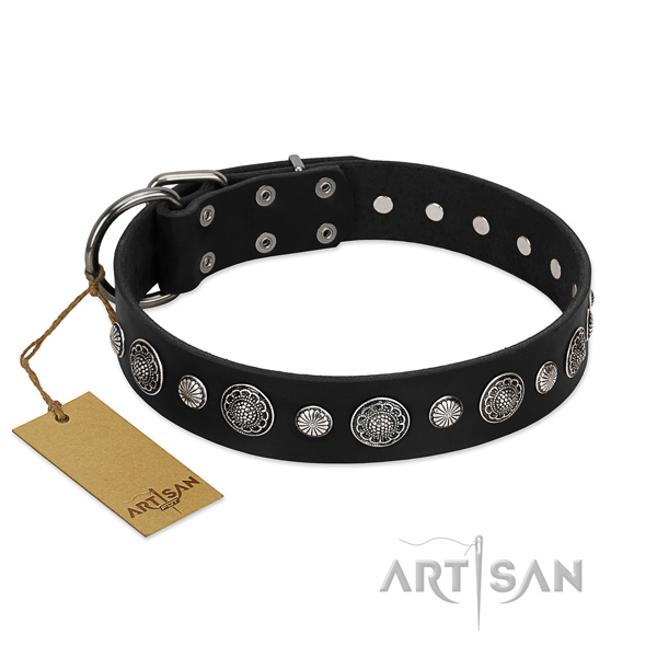 Fine quality full grain leather dog collar with incredible decorations