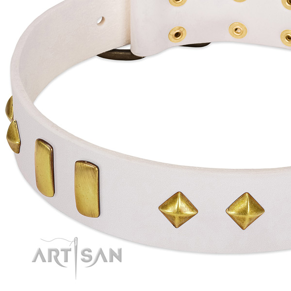 Fancy walking full grain genuine leather dog collar with unusual studs