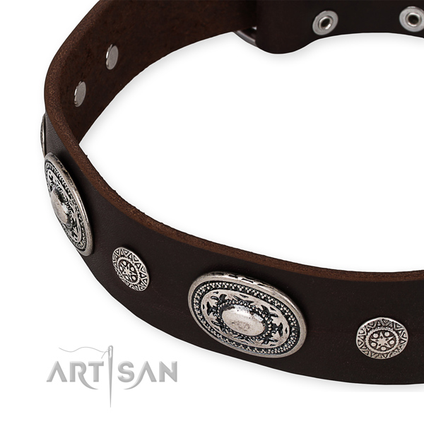 Reliable genuine leather dog collar crafted for your attractive pet