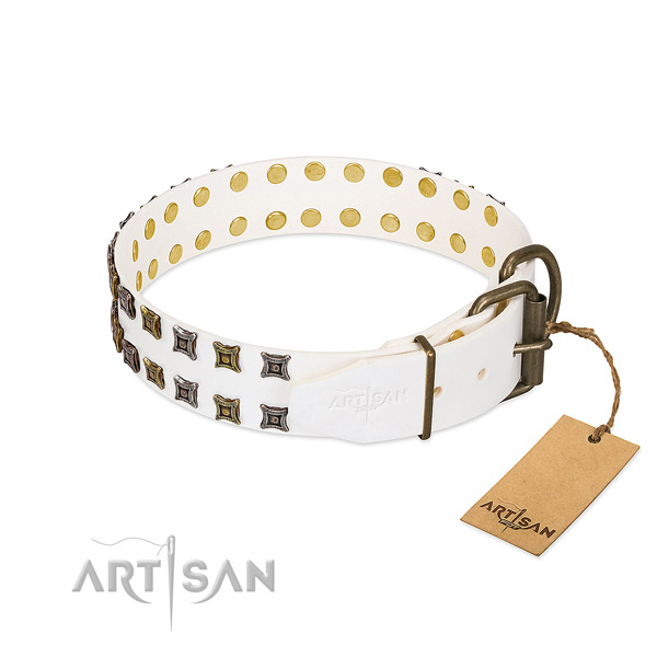 Full grain leather collar with extraordinary embellishments for your canine
