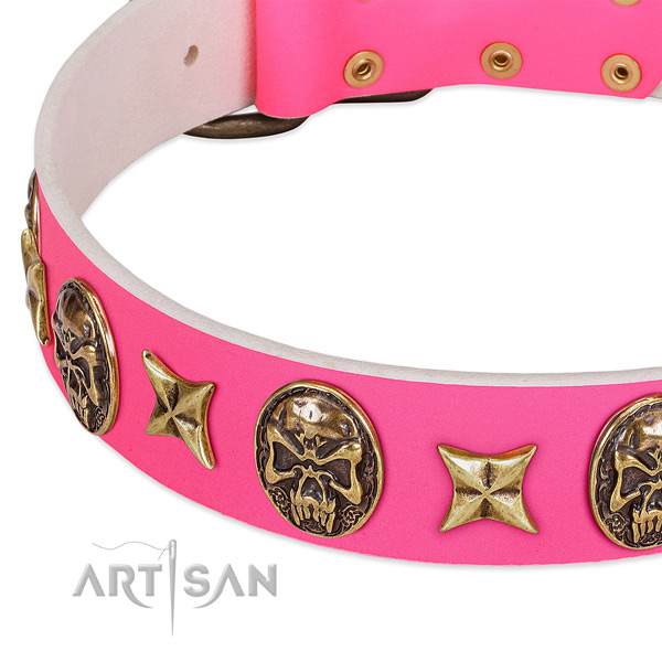 Full grain genuine leather dog collar with significant studs