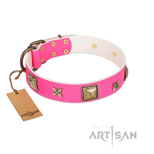 Natural leather dog collar of reliable material with unique decorations