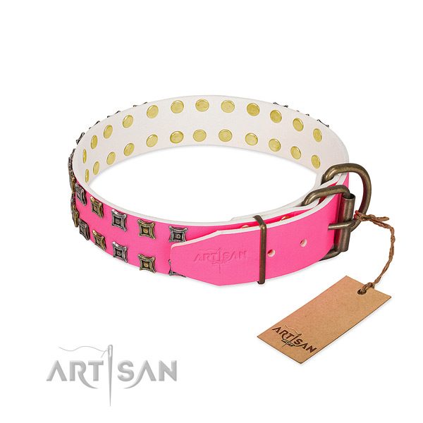 Full grain natural leather collar with awesome studs for your doggie