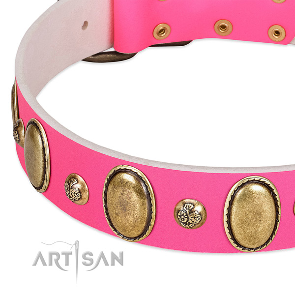 Daily walking high quality genuine leather dog collar