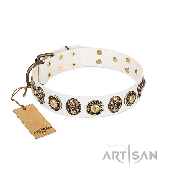 Easy to adjust genuine leather dog collar for stylish walking your dog