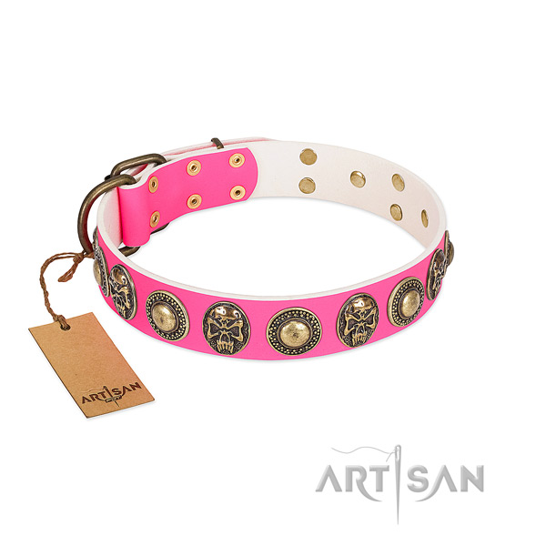 Easy adjustable leather dog collar for everyday walking your canine