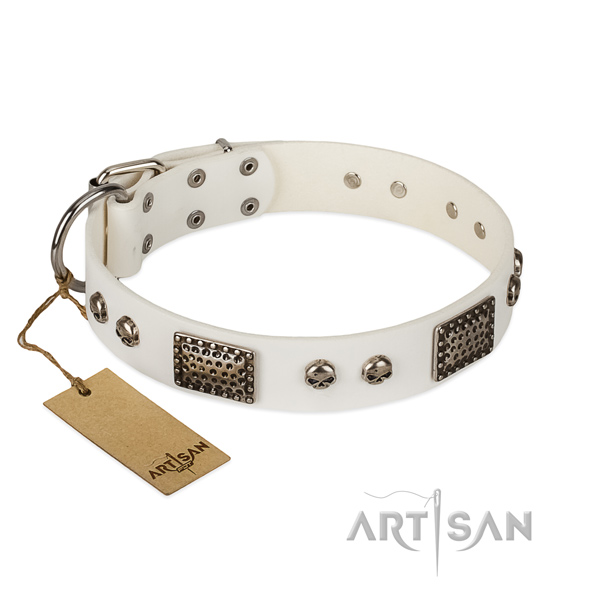 Easy to adjust full grain genuine leather dog collar for basic training your canine