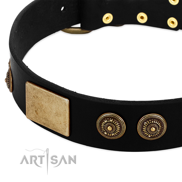 Corrosion proof adornments on full grain leather dog collar for your canine