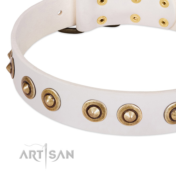 Durable embellishments on genuine leather dog collar for your canine