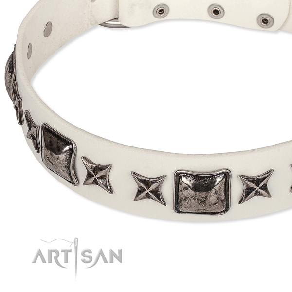 Basic training decorated dog collar of quality full grain leather