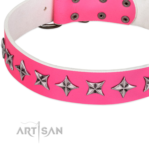 Handy use studded dog collar of durable full grain natural leather