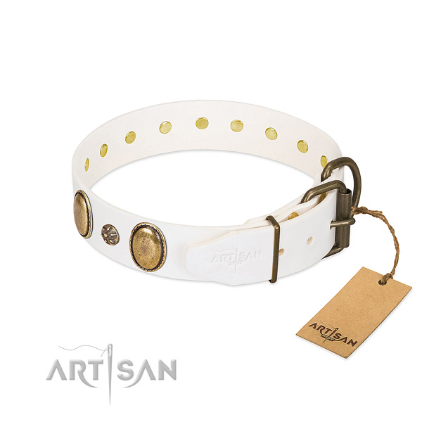 Daily walking best quality full grain natural leather dog collar