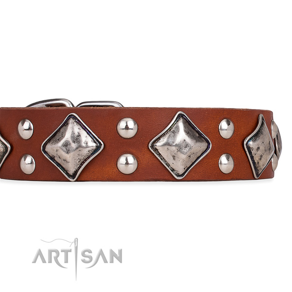Natural leather dog collar with amazing rust resistant adornments