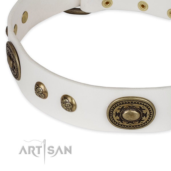 Perfect fit leather collar for your beautiful doggie