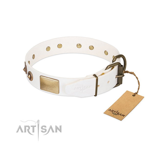 Corrosion proof traditional buckle on genuine leather dog collar for your canine