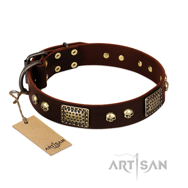 Easy adjustable genuine leather dog collar for everyday walking your four-legged friend