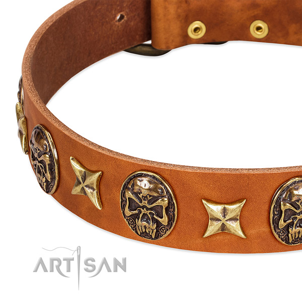 Strong embellishments on genuine leather dog collar for your canine
