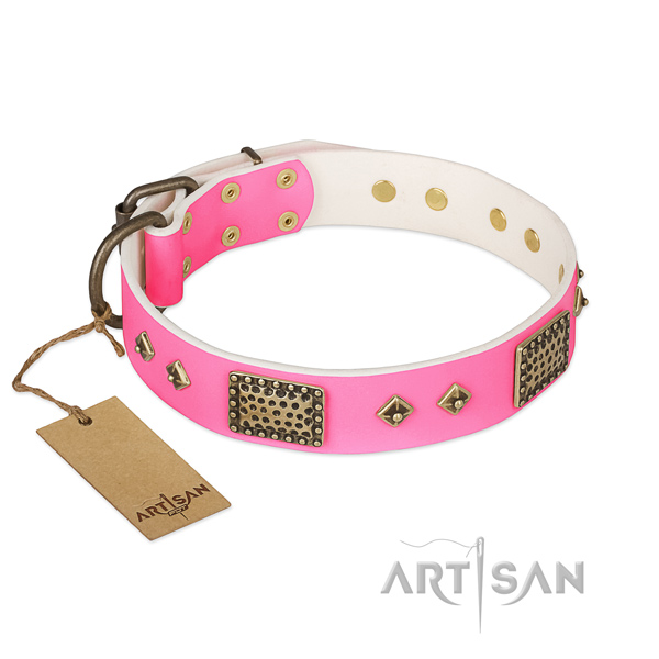 Easy to adjust genuine leather dog collar for walking your pet
