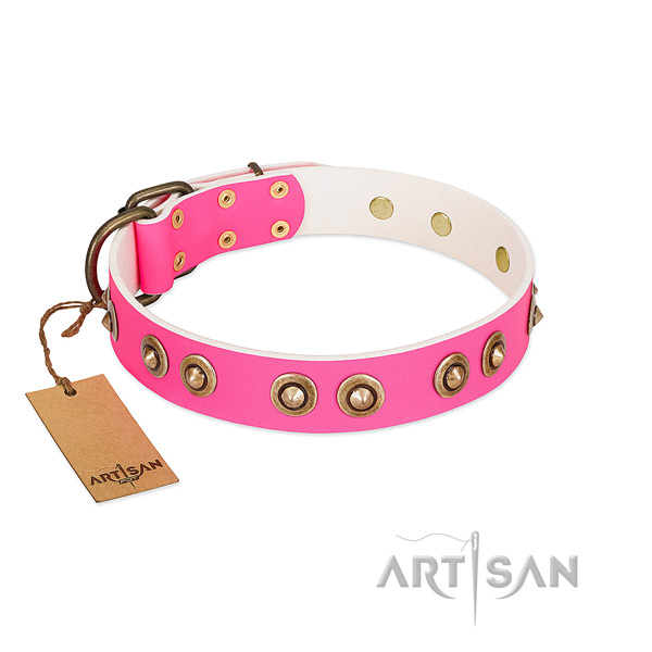 Stunning full grain leather dog collar for walking