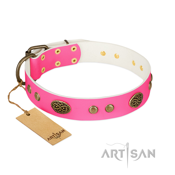 Rust-proof embellishments on natural leather dog collar for your dog