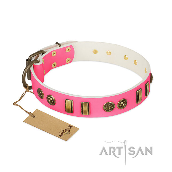 Studded genuine leather collar for your doggie