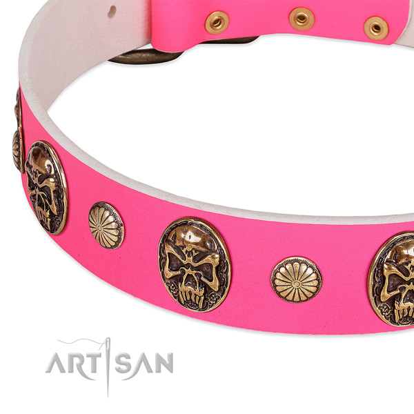Corrosion proof decorations on full grain natural leather dog collar for your canine