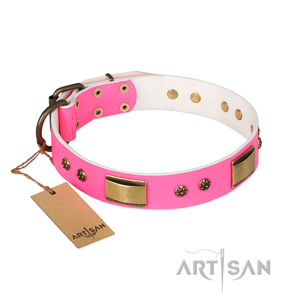 Incredible full grain leather collar for your pet