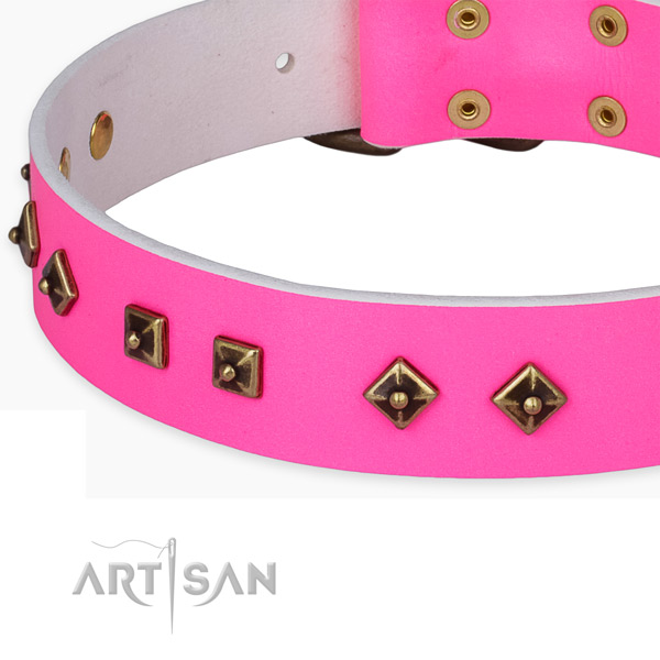 Decorated leather collar for your lovely four-legged friend