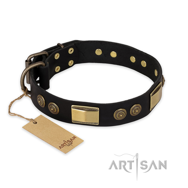 Designer genuine leather dog collar for everyday use