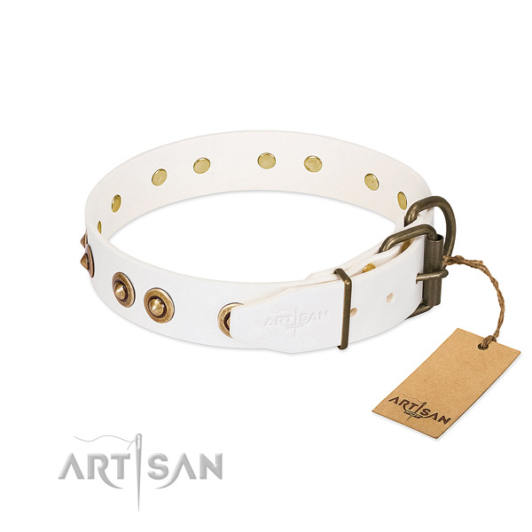 Rust-proof traditional buckle on genuine leather dog collar for your pet