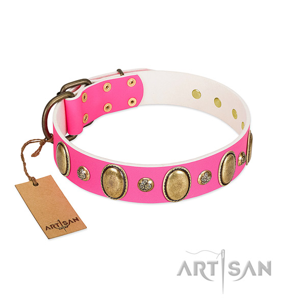 Full grain leather dog collar of soft to touch material with stylish embellishments